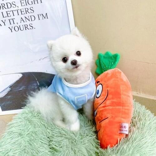 Dog Vest Summer Puppy Thin Clothing Coat for French Bulldog Cool Shirt for Chihuahua Yorkies Costume PC2117