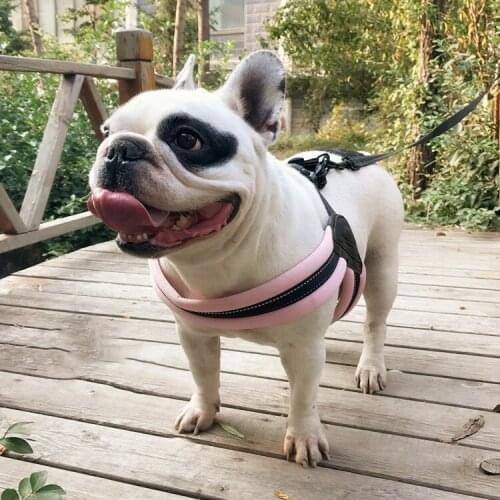 Reflective Dog Harnesses Vests chest For dog collars and harnesses Pet Dog Collar Adjustable Soft Comfort Pet Products All Pet