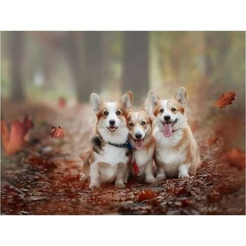 5D DIY Diamond Painting Welsh Corgi Dog Diamond Embroidery Dog Full Drill Mosaic Rhinestone Cross Stitch Wall Sticker Home Decor