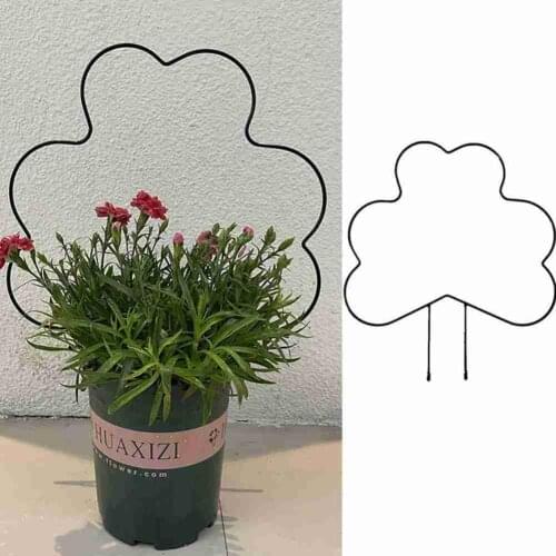 Metal Iron Round Heart Shaped Garden Plant Support Stake Stand For DIY Potted Climbing Plants Flower Vegetables Vine Rack