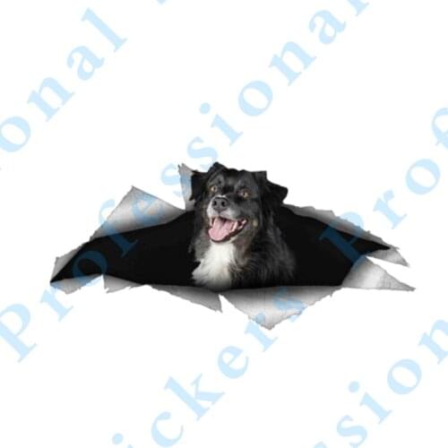 3D Animal 13 x 4.8 Husky car decal Vinyl decal 3D Pet Graphic Vinyl Decal Car Motorcycle Laptop Vinyl Car Stickers