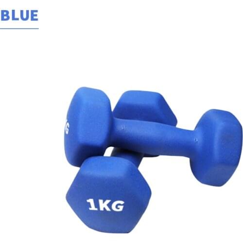 1 Pair 1KG Fitness Hexagonal Cast Iron Dumbbell Hand Weight Set for Women Men Gym Exercise Equipment Weights Workout Dumbbells