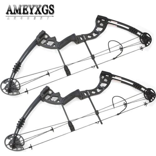 1set 38inch Compound Bow 30-55lbs Metal Alloy Hunting Bow IBO 310FPS Pulley Bow For Outdoor Sports Shooting Arcehry Accessories