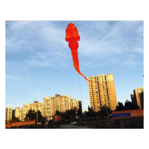 Outdoor toys kite adult flying toy kite acrobatic flying bird toy carbon kite single line fly floatant ripstop kite rainbow kite