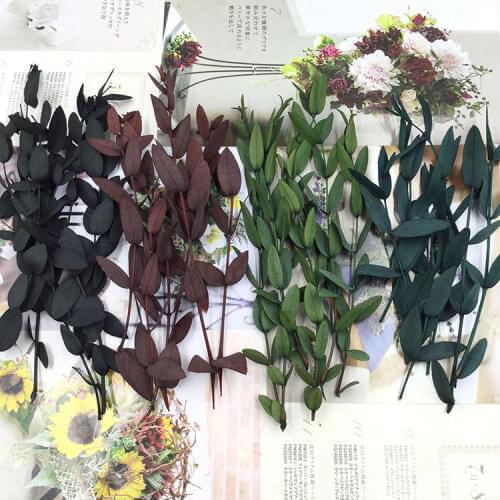 Valentines Day Eternal Flower DIY Material Eucalyptus with Leaf Tip Eucalyptus Handmade Glass Cover Gift Flower Material