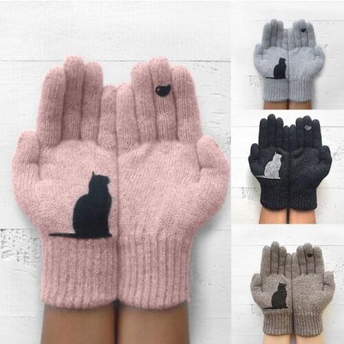 Ladies Woolen Gloves Female New Winter Outdoor Warmth Cold Protected Thick Plus Cat Bird Print Gloves Cute Pink Simple Mitten