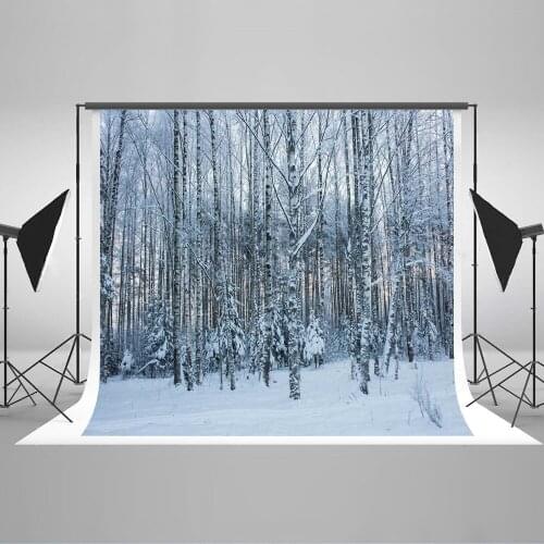 VinylBDS Forest Christmas Backdrops Photography 10x10ft Snow Photography Backdrops Forzen Backgrounds For Photo Studio