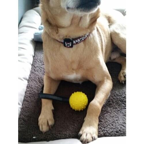 Natural Rubber Dog Toy Ball On A Strap Rope Training Dog Toy