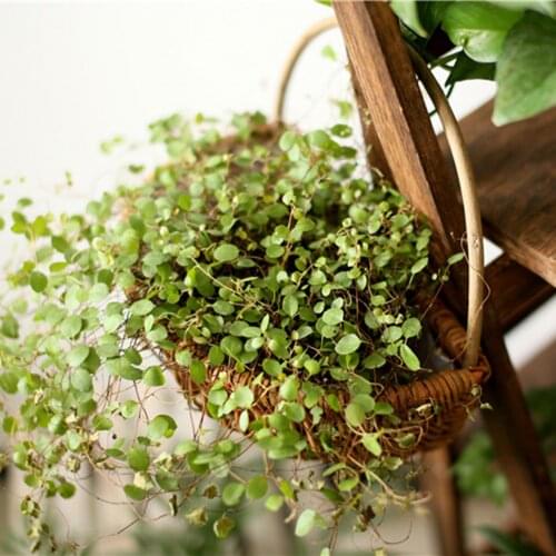 Hand Made basket for plants Wicker Rattan Flower Green vine Pot Planter Hanging Vase Container Wall Plant Basket For Garden