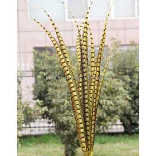 50 pcs yellow color pheasant tail feather 90-100 CM 36-40 inch lateral tail markings Wittenbuik chicken feathers