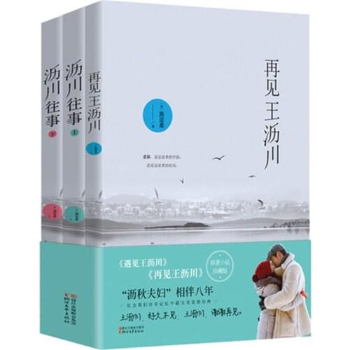 3 PCS/SET Zai Jian Wang Li Chuan Youth literature urban love novels