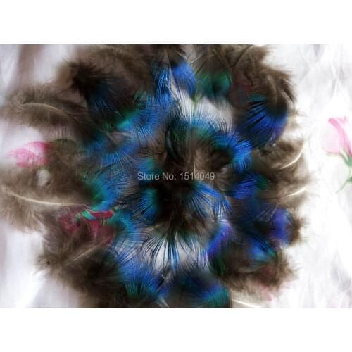 Nature Good wholesale high quality 20pcs natural peacock feathers 4-7cm/2-3inch Decoration diy
