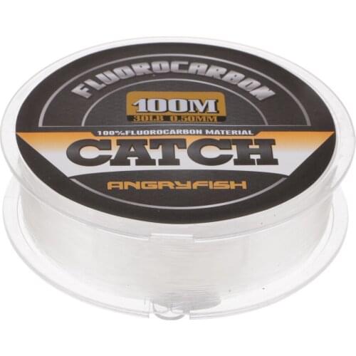 100m/109yds Fishing Lines Clear Fluorocarbon Fishing Line Angler Fish Accessory
