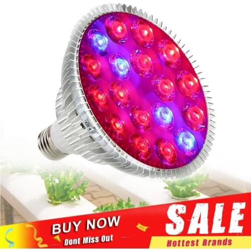54W E27 LED Grow Light Fitolamp Red Blue Led Growing Lamp Plant Seedling Light For Hydroponics Greenhouse Veges Flower Growth