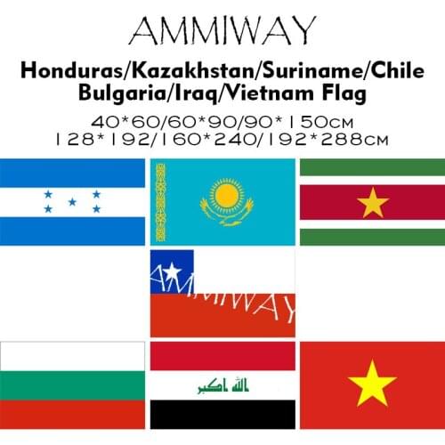 AMMIWAY Any Size Haiti Kazakhstan Suriname Chile Bulgaria Iraq Vietnam Single Double National World Country Flags and Banner