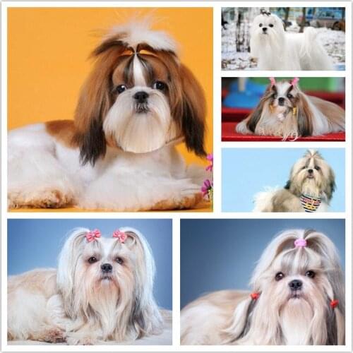 Diamond Painting Shih Tzu Dog 5D DIY Full Square Diamond Embroidery Animal Picture Cross Stitch Kit Home Decoration