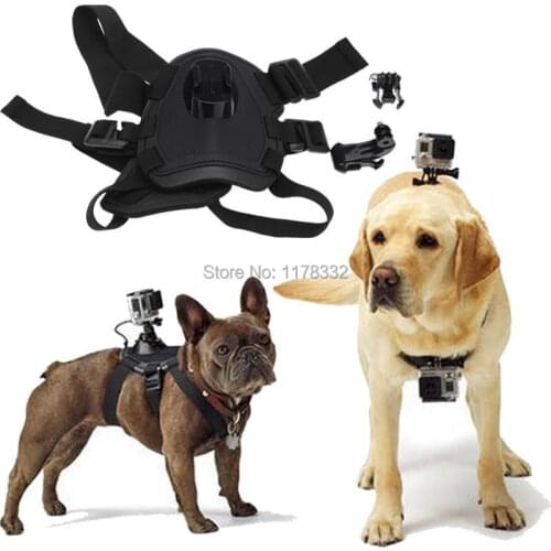 Hound Dog Fetch Harness Chest Strap Belt Mount + Release Buckle For GoPro Hero 4 3+ 3 2 1 Camera