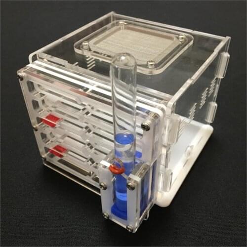 DIY antgranery moisture with feeding area ant nest ,ant farm acryl, insect ant nests villa pet advanced mania for house ants