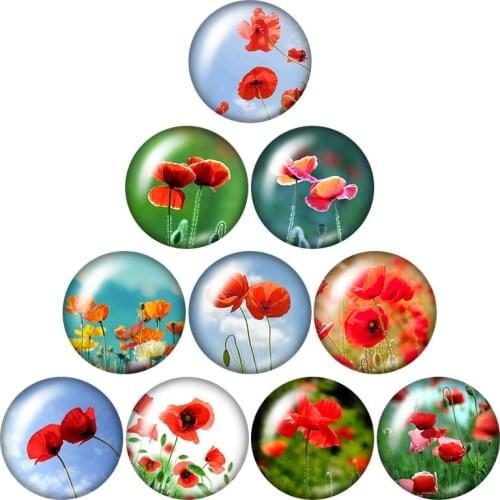 Beauty Flowers Plumeria Lotus lavender 10pcs mixed 12mm/16mm/18mm/25mm Round photo glass cabochon demo flat back Making findings