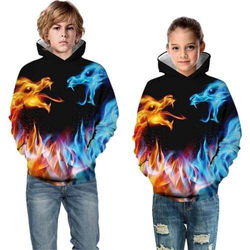 Teen Boys Girls Hoodie Ice Fire Dragon Phoenix 3D Print Kids Hooded Sweatshirts Children Pullover Family Matching Winter Clothes