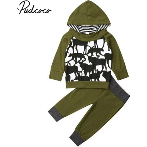 Children Girls Clothes 2020 Spring Autumn Kids Clothes Animal Print Long Sleeve Top+Pants Outfit Children Clothing Suit Boys Set
