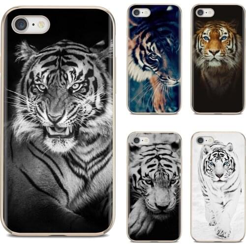 Starry Night OnePlus 7 Phone Cases