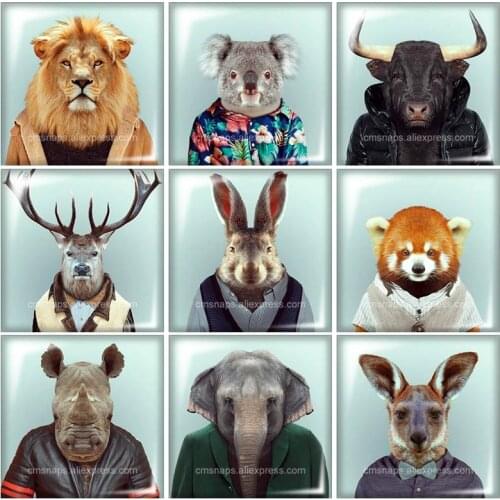 Beauty Animals Tiger Rabbit 12mm/20mm/25mm/30mm Square glass cabochon flat back DIY Jewelry Findings Components FB0245