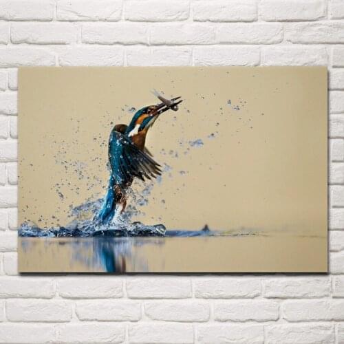 Fishing kingfishers birds animals nature wildlife artwork fabric posters on wall picture home art living room decoration ex566