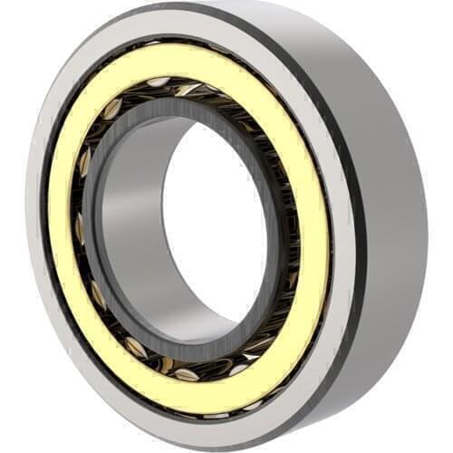 China Cylindrical Roller Bearings NU1013/1014/1015