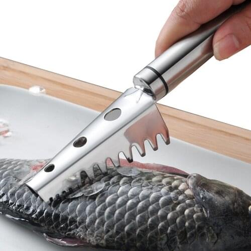 Winzwon Instruments For Seafood