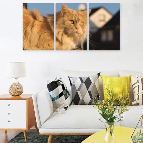 Animal,Plant and Fruit Colorful Series Print Canvas Wall Art Posters for Living Room Office Home Decoration 3 Pieces No Frame