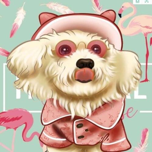 Dog fashion shirts brand designers B1027