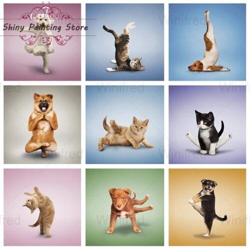 Modern Wall Art Diamond Painting Cat Dog Acrobatics Creative Picture Animal 5D DIY Diamond Embroidery Cross Stitch Handmade Gift