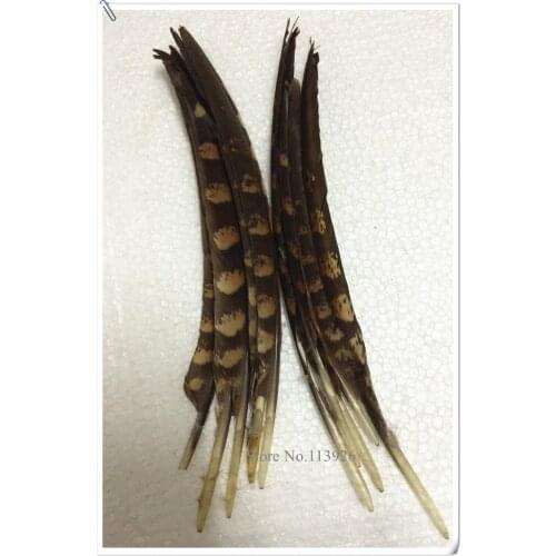 New arrival! Natural Feather plumes 50pcs Rare Pheasant Feather 20-30cm For DIY masks /wedding party decoration