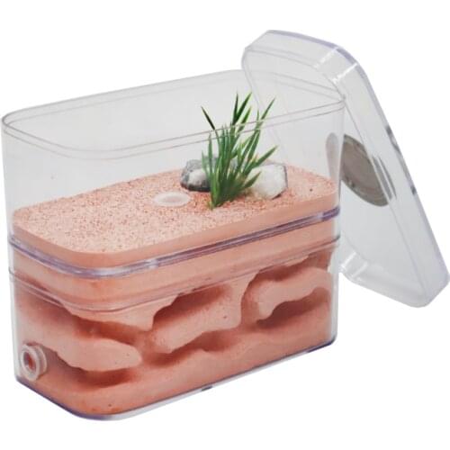 Plaster Ant Nest Insect Box Ant Farm Pet Anthill Castle Natural Ecological Insect House Ants Ecological Workshop 12*6*10cm