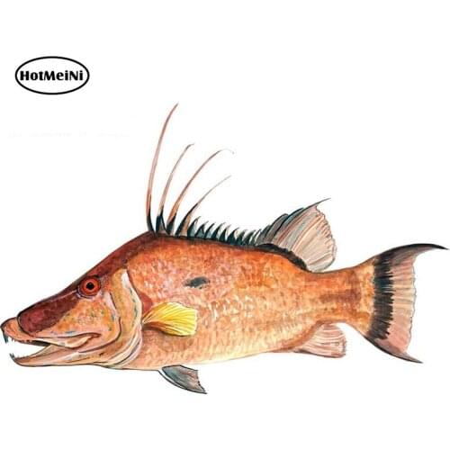 HotMeiNi 13cm x 8.4cm Hog Fish Hogfish Fishing Home Office Dorm Camp Decor Wall Art Sticker Gift Decals Car Stickers Graphics