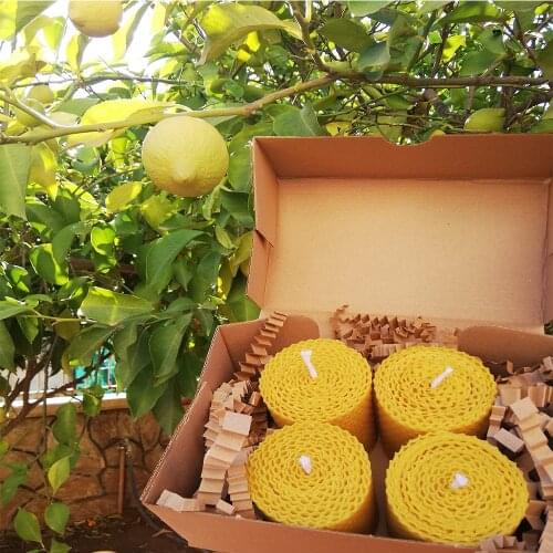 Sacra Arbor Wax Candle Set of 4 Candles (4 Pieces X 7 Cm X 6 Cm)