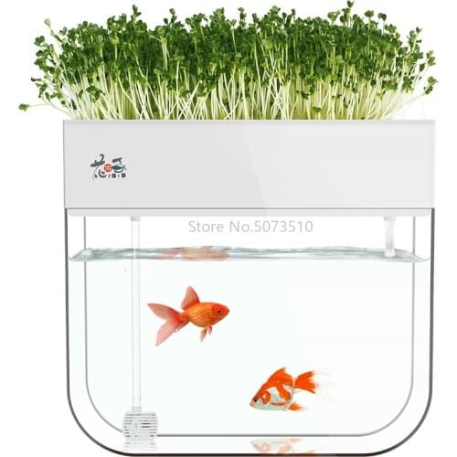 Water-free Ecological Goldfish Tank Living Room Home Desktop Small Symbiosis System Flower Muzy Lazy Aquarium Fish Box