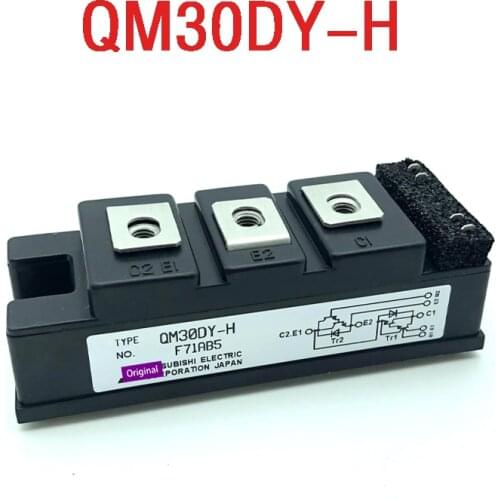 100%New and original, 90 days warranty QM30DY-H