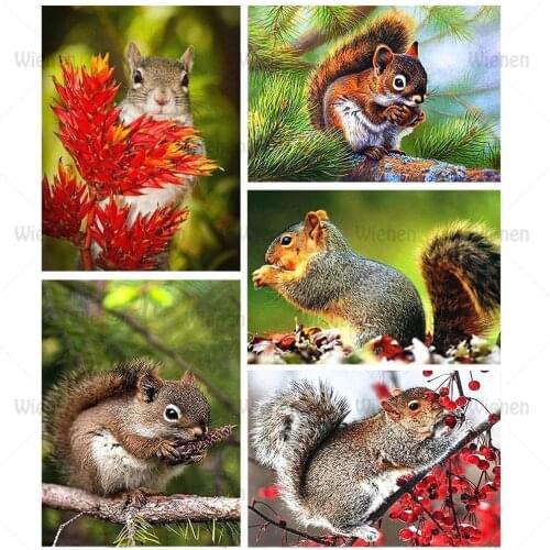 Diamond Painting Squirrel Animal Pattern Diamond Embroidery Sale Rhinestone Picture 5D Full Square And Round Diamond Painting
