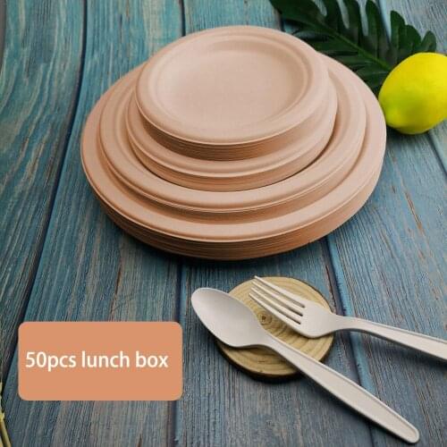 50PCS 6/7/9in Degradable Compostable Paper Plates Quality Natural Disposable Bagasse Eco-Friendly Made Of Cane Fibers Paper Tray