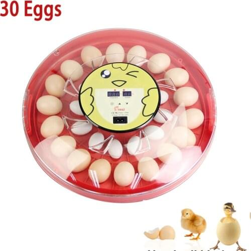 30 Eggs Incubator utomatic Brooder Hatchery Spin Turner Brooding Machine For Farm Breeding Bird Quail Chicken Egg Hatchers