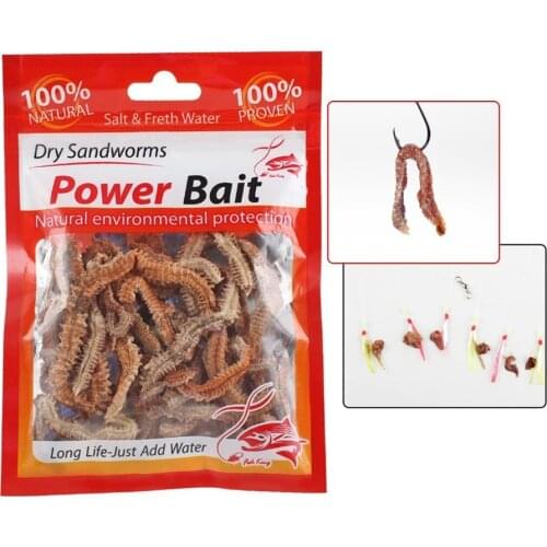 6/10g Dry Sandworm Live Fishing Lure For Feeder Catfish Fishy Smell Natural Bait Fishing Baits Lures Flies Live Bait