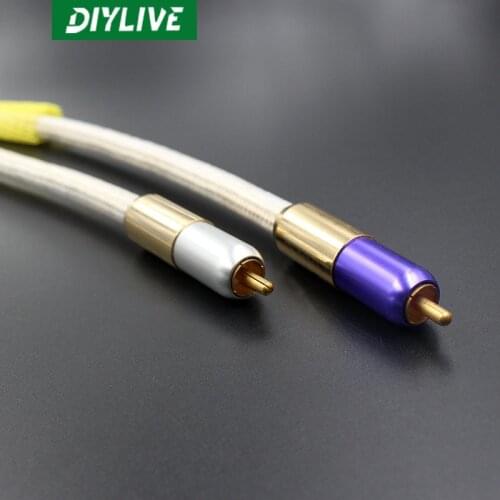 DIYLIVE King Snake (Agile) sterling silver audio signal cable