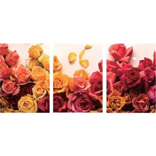 3 Pcs/Set Canvas Print Flowe Roses Wall Art Cuadros Picture Modern Wall Paintings for Bedroom Living Room Home Decorations