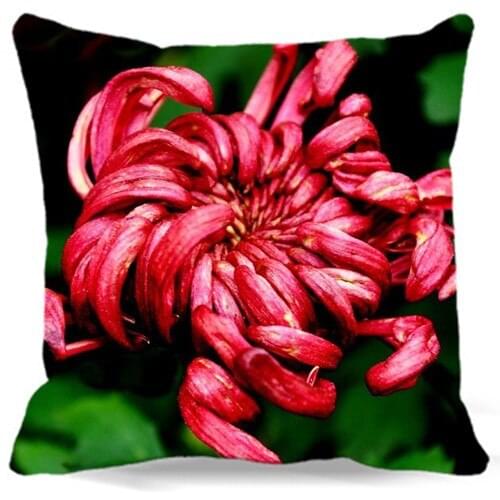 Red yellow white Chrysanthemum Black Pillow Case For Vintage Home car sofa Decorative 2017 New 18' 16' 19' cushion Cover 9 style