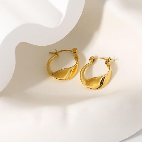 Stainless Steel Earrings 2021 Trend Gold Hoops Women Earring Pendientes Circle Piercing Aretes Huggie Oorbellen Voor Vrouwen