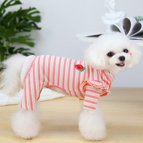 Fashion Pet Clothes Dog Jumpsuit Lace Sleeve Princess Cat Clothing Dog Overalls For Small Medium Dogs Dog Pajamas Pet Costume XL