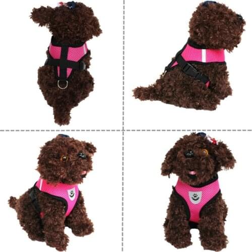 Seresto dog collar Strap Style Dog Collar for Cats Lead Dog Leash Chien Harness Seresto Pet Accessories Dog Collar for Cat