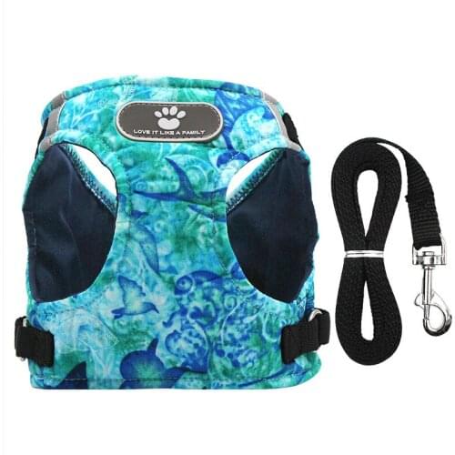 BAILUNMUZI Leashes For Dogs